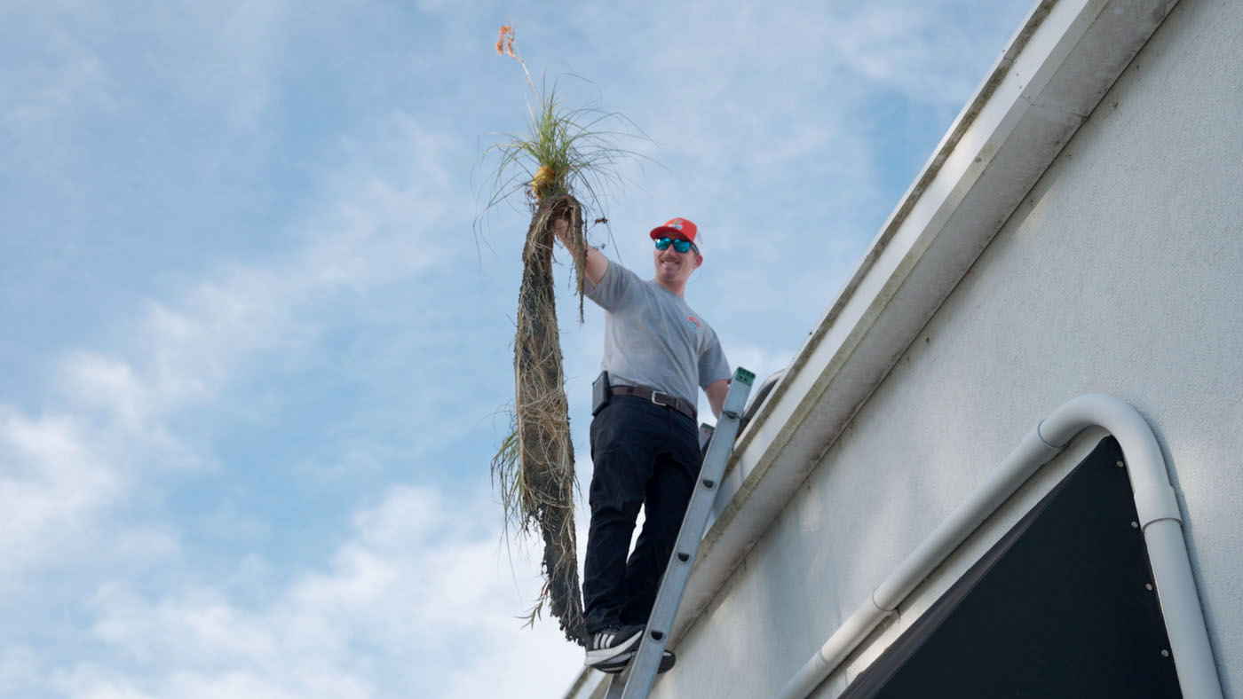 A Window Ninjas technician on a ladder holding up the debris he cleaned from a gutter. 